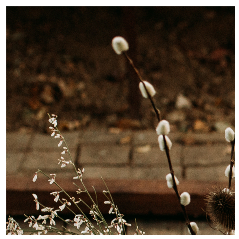 Fleurs 1
