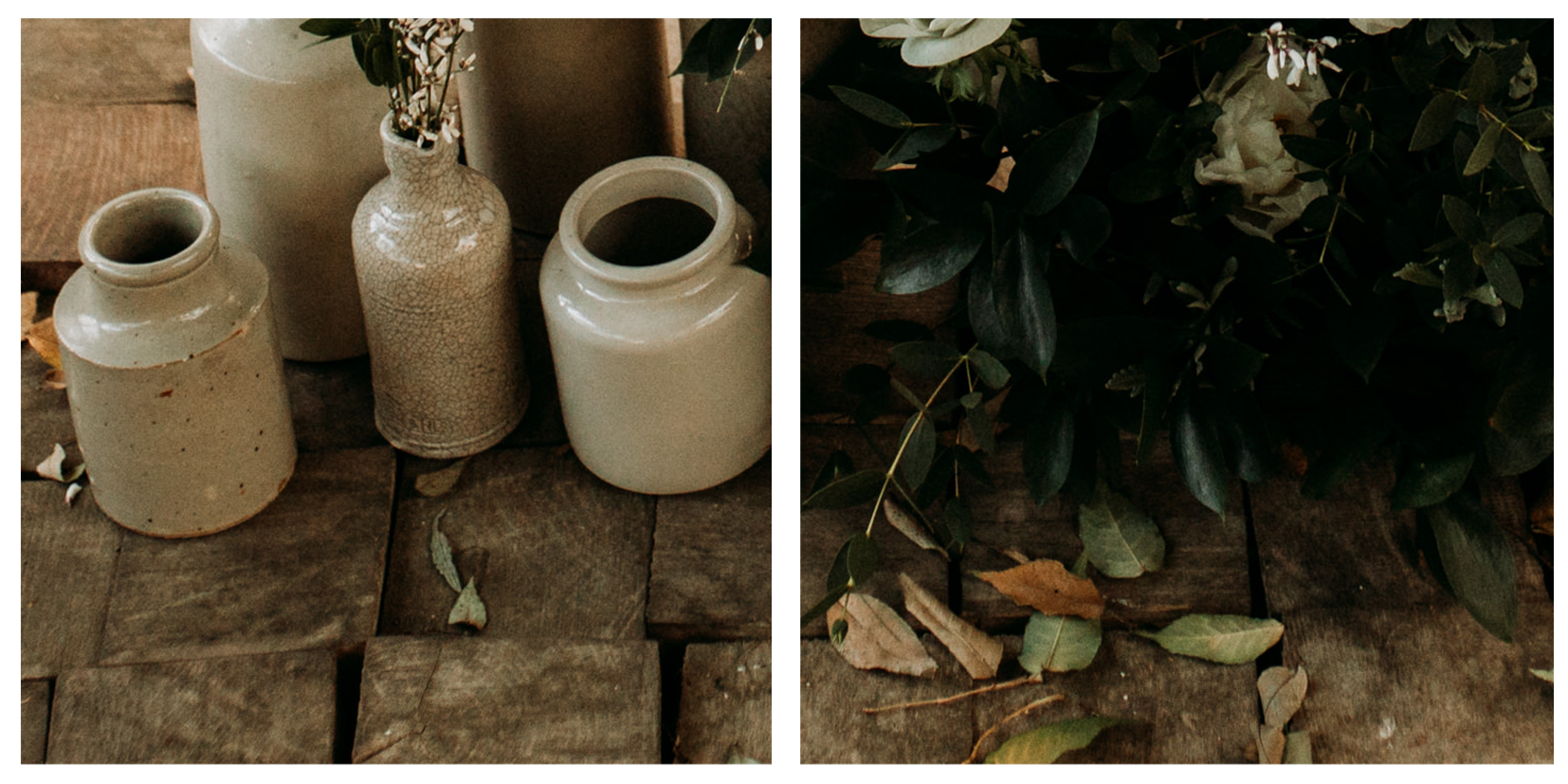Fleurs 4