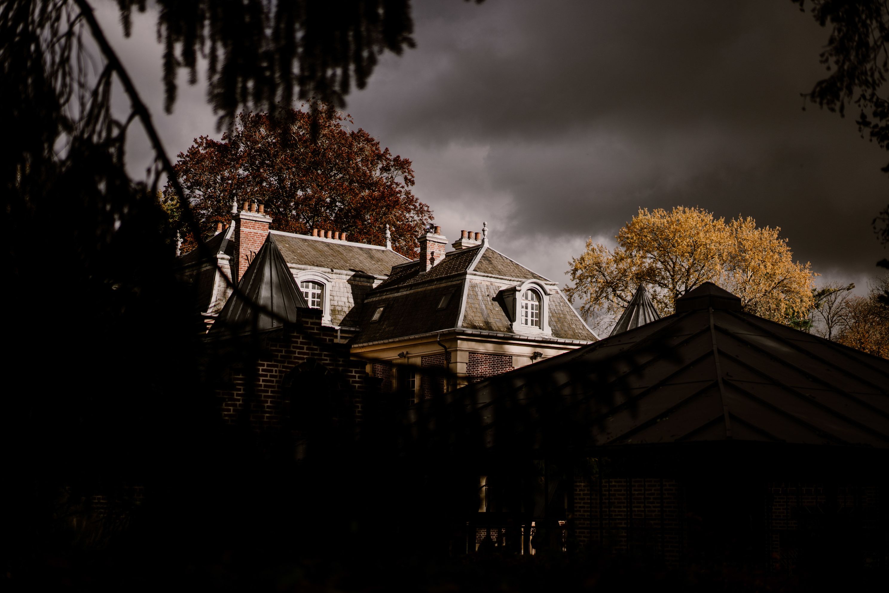 DARKPARADISE18