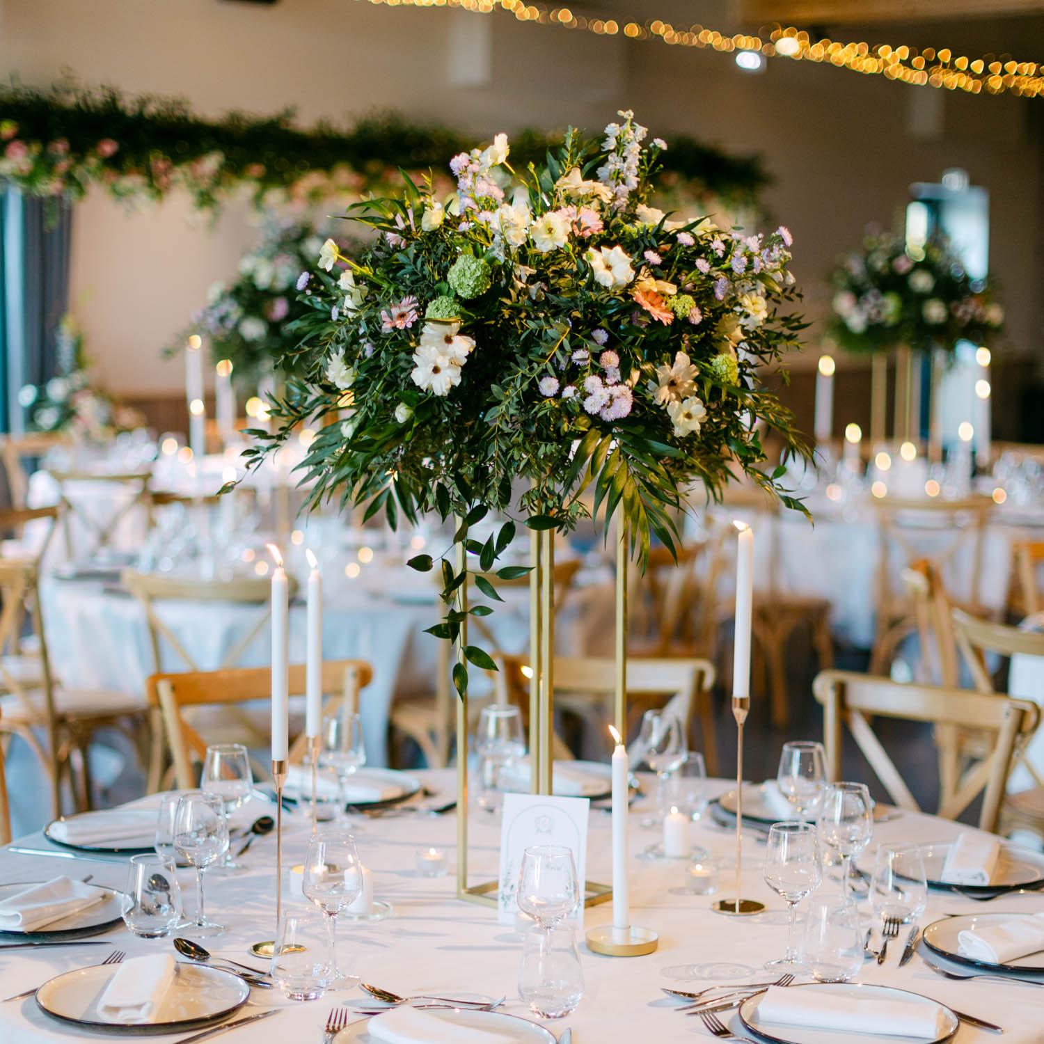 TAB HAU 001 2026 02 2 P 