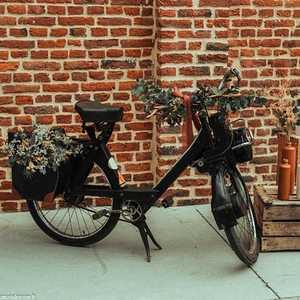 SAL ROU 002 2023 1 L