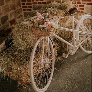 SAL ROU 005 2024 1 L