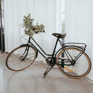 SAL ROU 008 2024 1 L