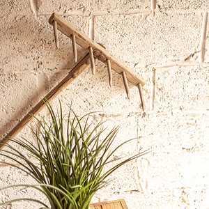 SAL OBJ 145 2025 1 L