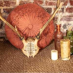 SAL COU 082 2025 1 L