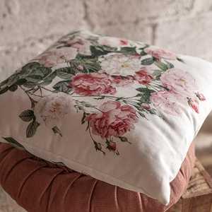 SAL COU 086 2025 1 L