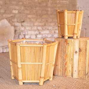 SAL VAS 161 2025 1 L