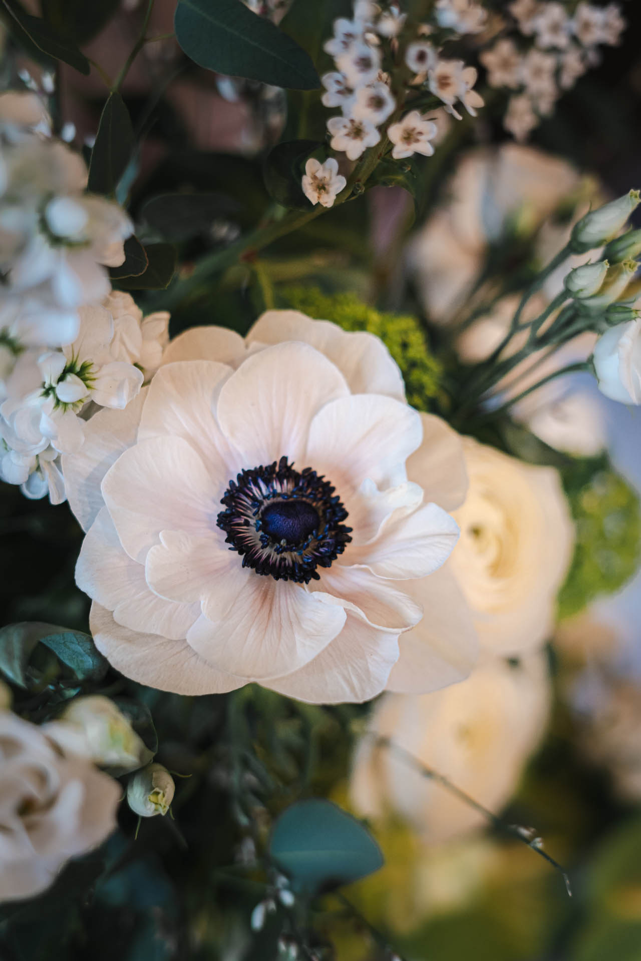 Ju L Immortalise Shooting La Splendeur Des Noces116