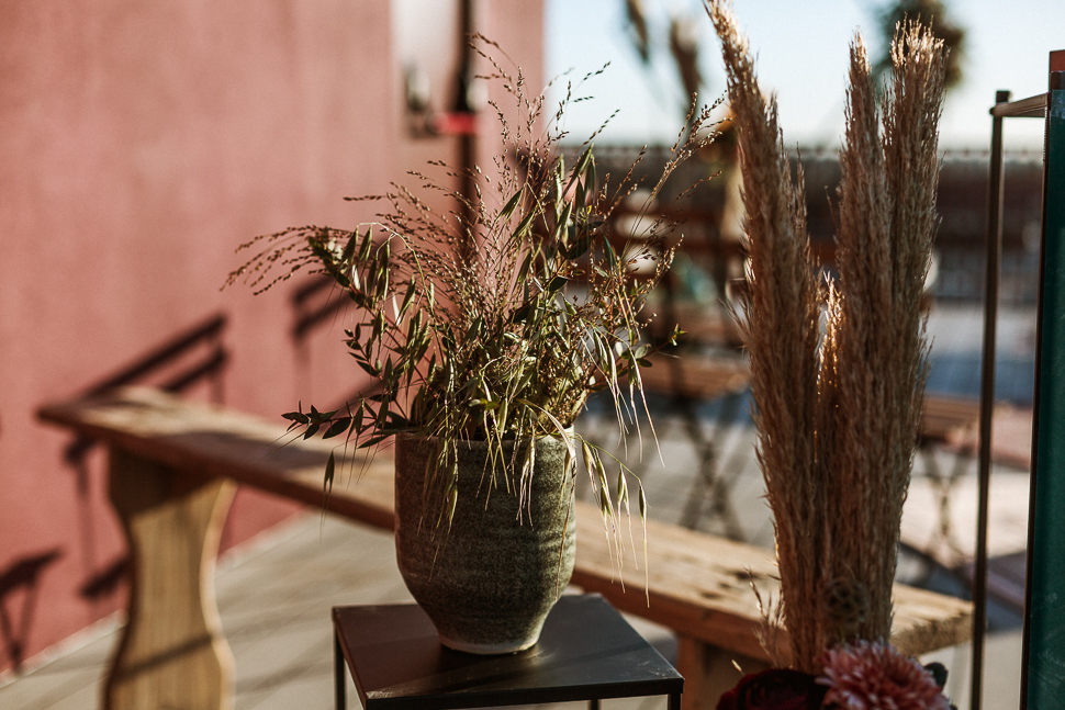 Shoot Edito Urbain Vegetal Web 120 Sur 142 